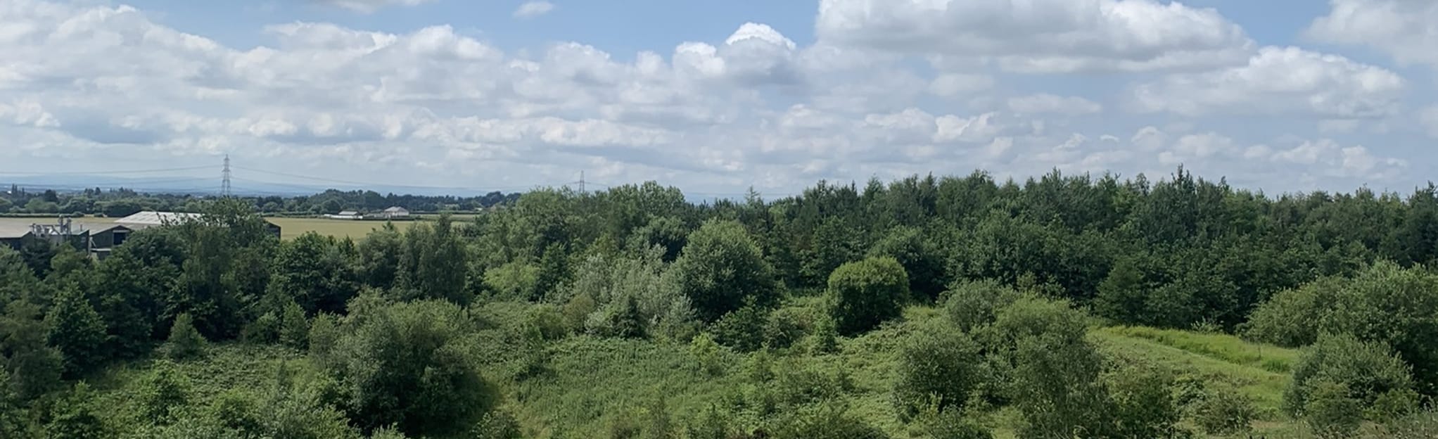 Clock Face Country Park and the Dream Sculpture Merseyside, England
