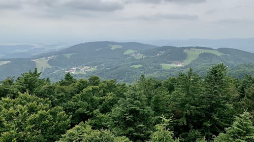 Wanderweg 18: Turmrunde