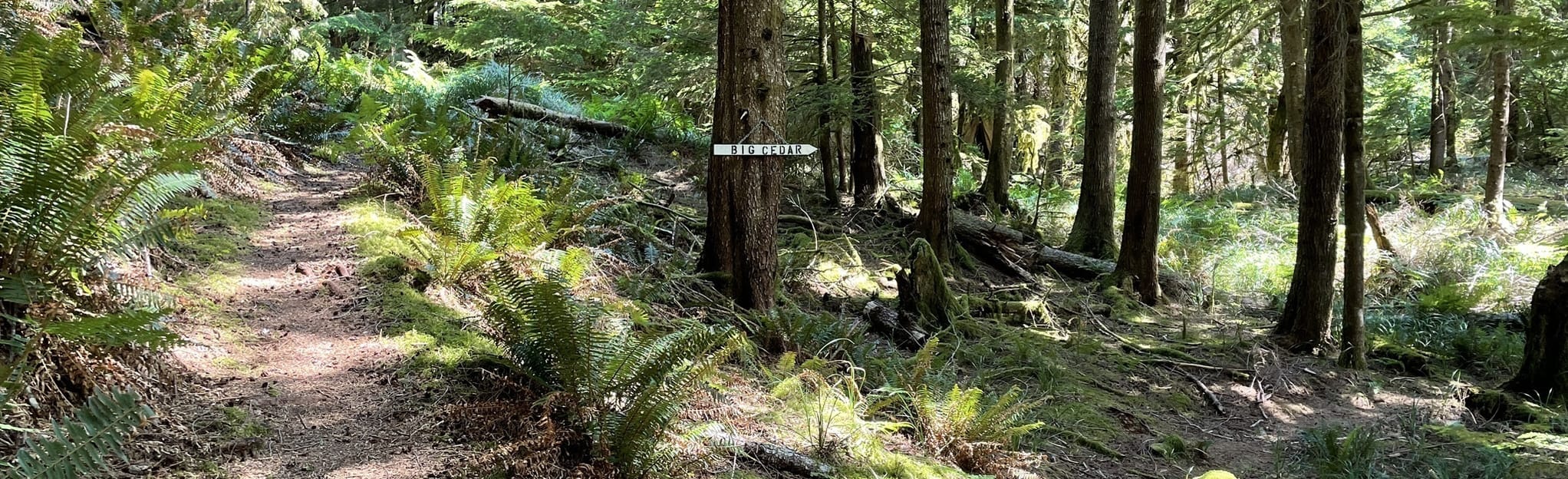 Eagle Lake 5 Reviews, Map British Columbia, Canada AllTrails