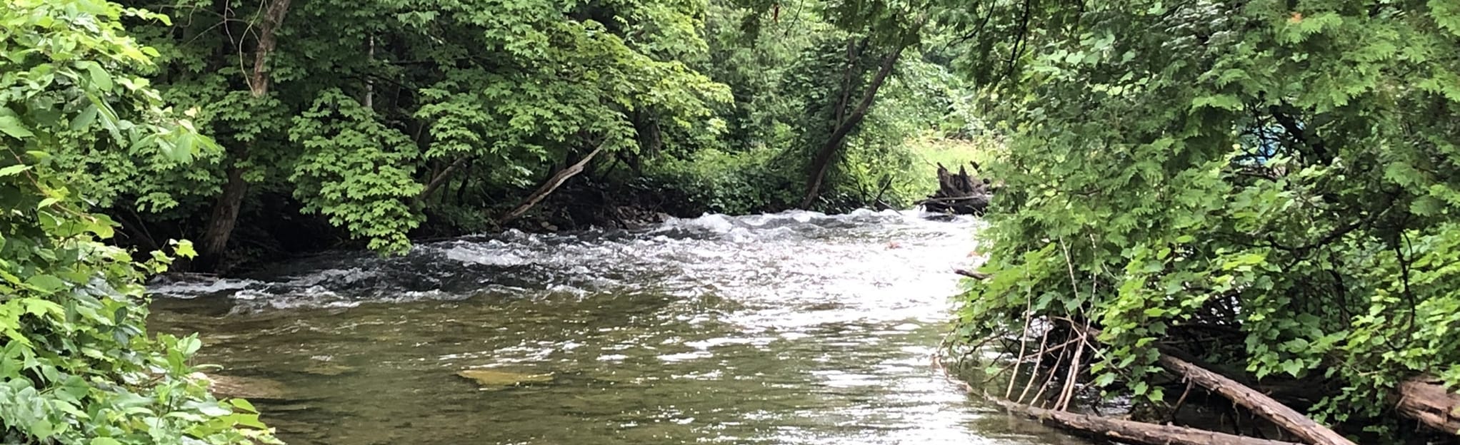 Bridal Veil Falls, Ontario, Canada 341 Reviews, Map AllTrails