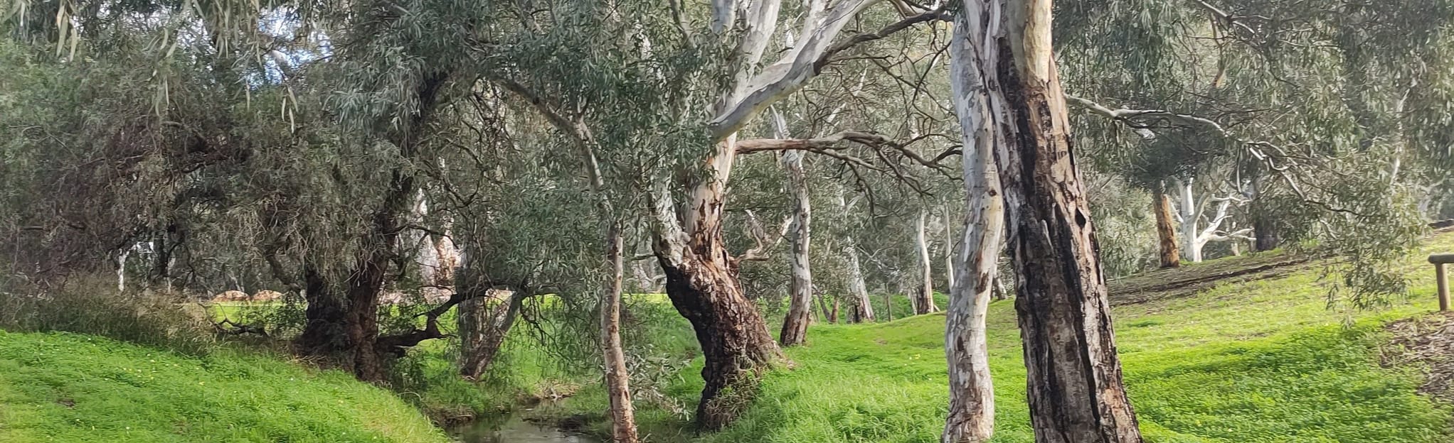 Jenkins, Harry Bowey and Carisbrooke Reserve Loop, South Australia