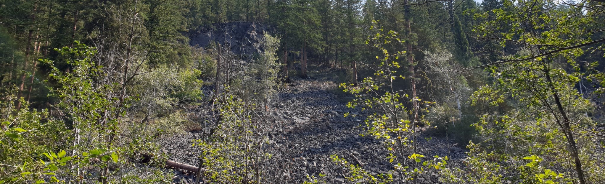 Tora Bora Loop 9 Reviews, Map British Columbia, Canada AllTrails