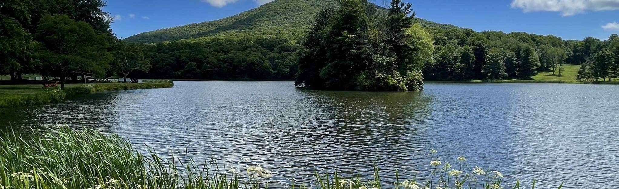 Abbott Lake Flat Top Mountain 326 Reviews, Map Virginia AllTrails