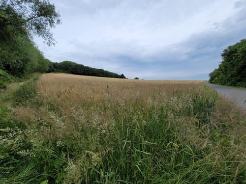 Feldkircher Höhen und Schlosspark