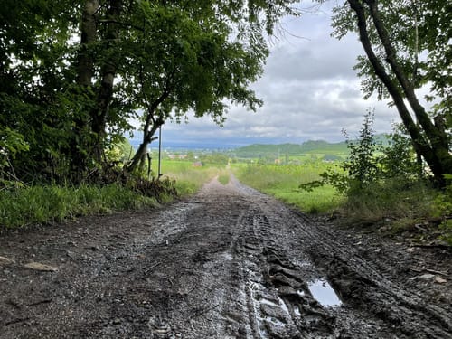 Rundwanderweg Geisenwald