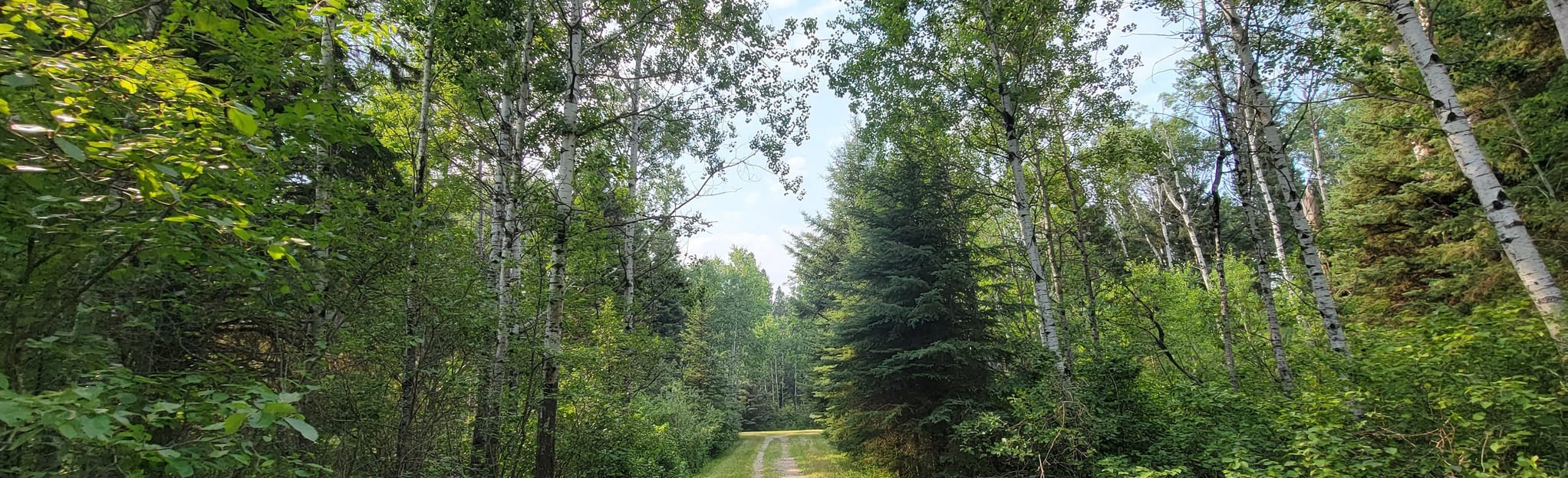 AllTrails Strathclair Trail 1 Reviews, Map Manitoba, Canada