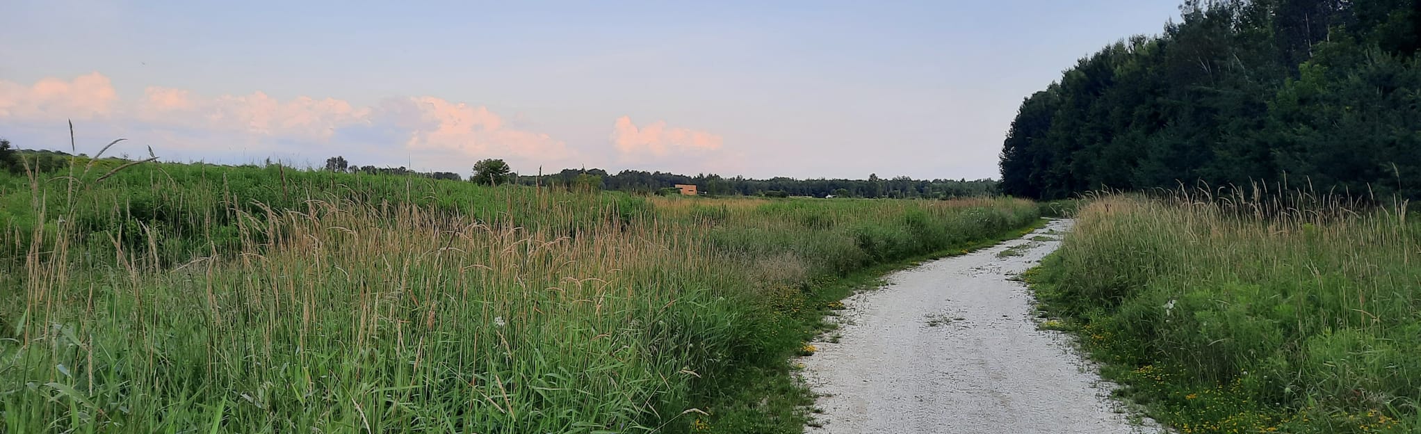 Clearview EcoPark, Ontario, Canada - 12 Reviews, Map | AllTrails