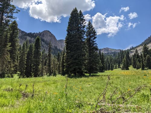 2023 Best 10 Trails and Hikes in Alpine | AllTrails