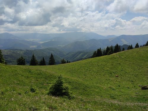 2023 Best 10 Wildlife Trails in Veľká Fatra National Park | AllTrails