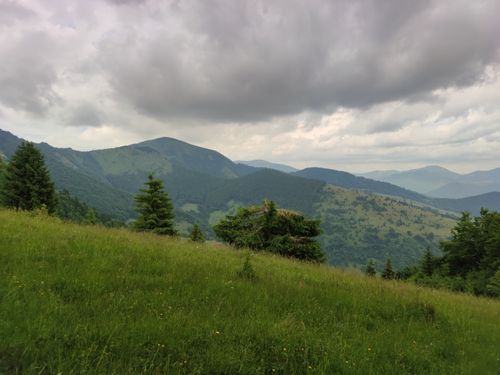 2023 Best 10 Wildlife Trails in Veľká Fatra National Park | AllTrails