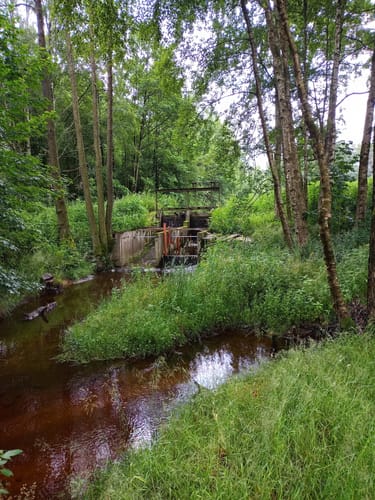 Rundwanderweg Weißenstadt Nr. 4