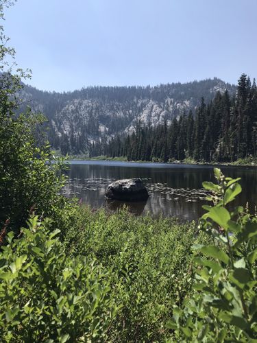 are dogs allowed at klamath national forest