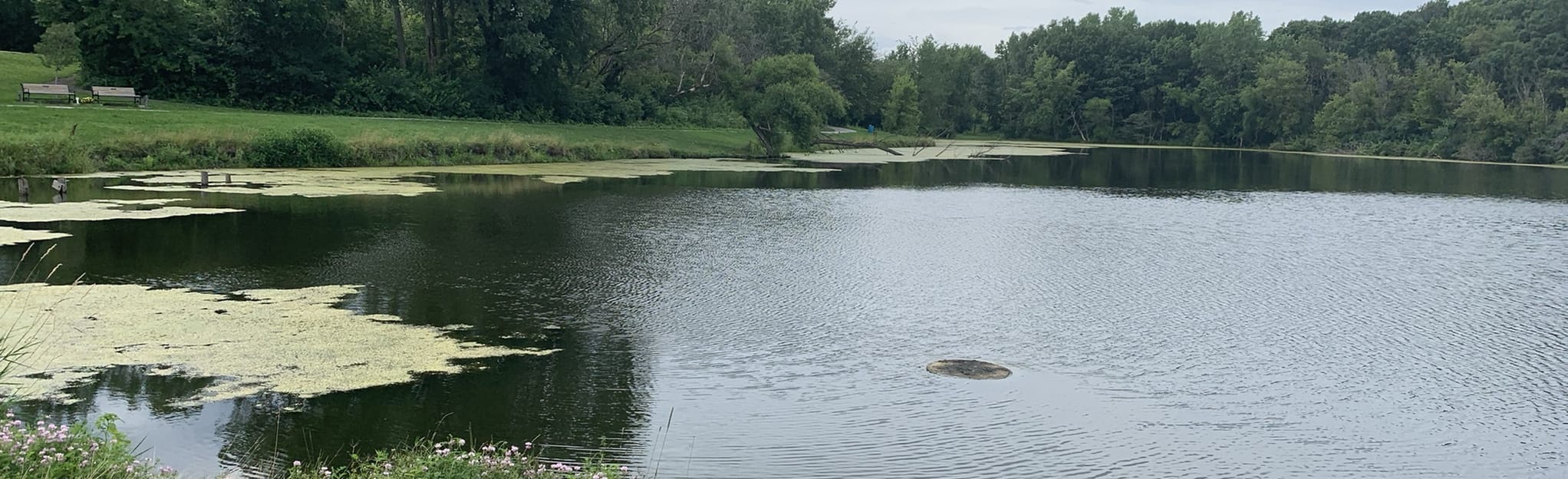 Lemon Lake Perimeter Hiking Trail 93 Reviews, Map Indiana AllTrails