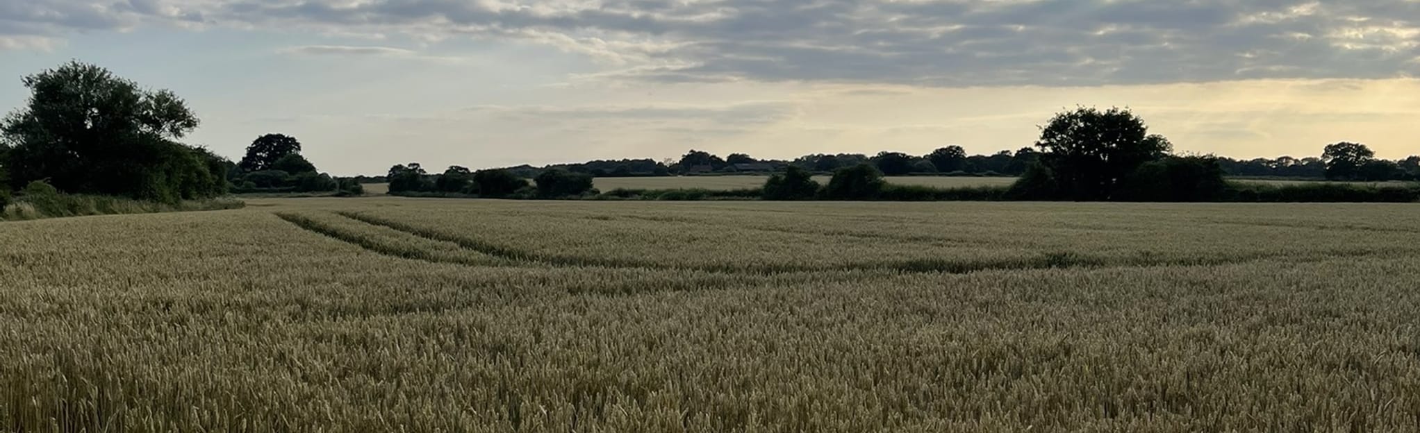 Old Basing Northern and River Loddon Circular, Hampshire, England 174