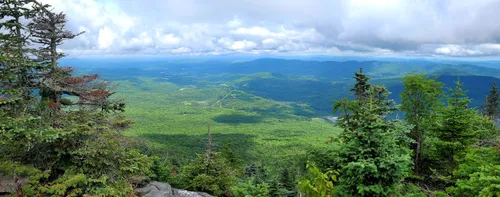 Long trail state outlet forest