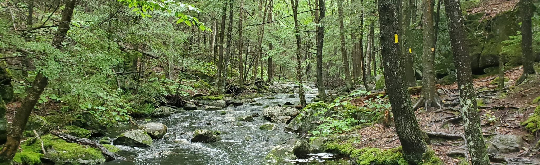 Royalston Falls via Tully Trail, Massachusetts 38 Reviews, Map