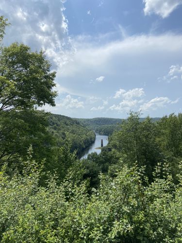 are dogs allowed at hickory run state park