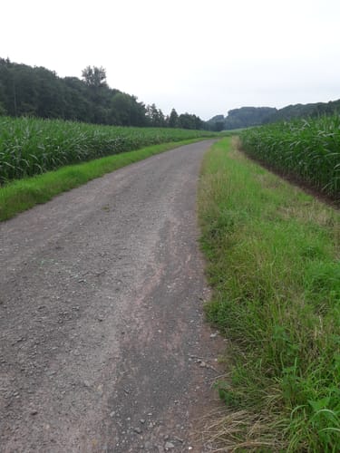 Körperich - Hüttingen bei Lahr (Naturpark Südeifel Wanderweg Nr. 43)