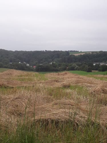 Körperich - Hüttingen bei Lahr (Naturpark Südeifel Wanderweg Nr. 43)
