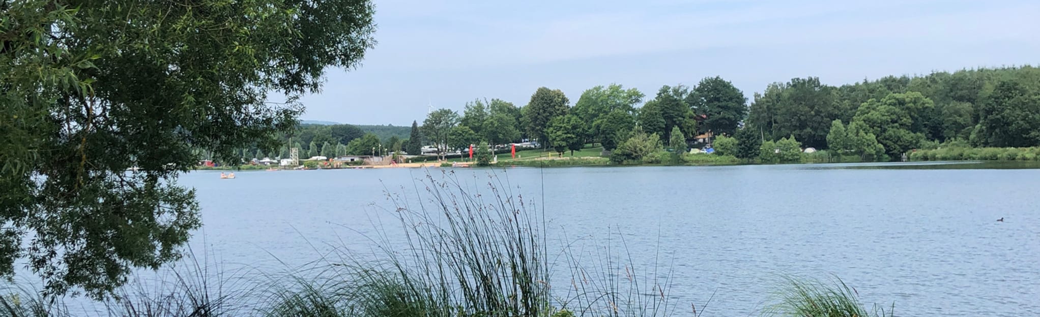 NiederMooser Pond Loop, Hesse, Germany 3 Reviews, Map AllTrails