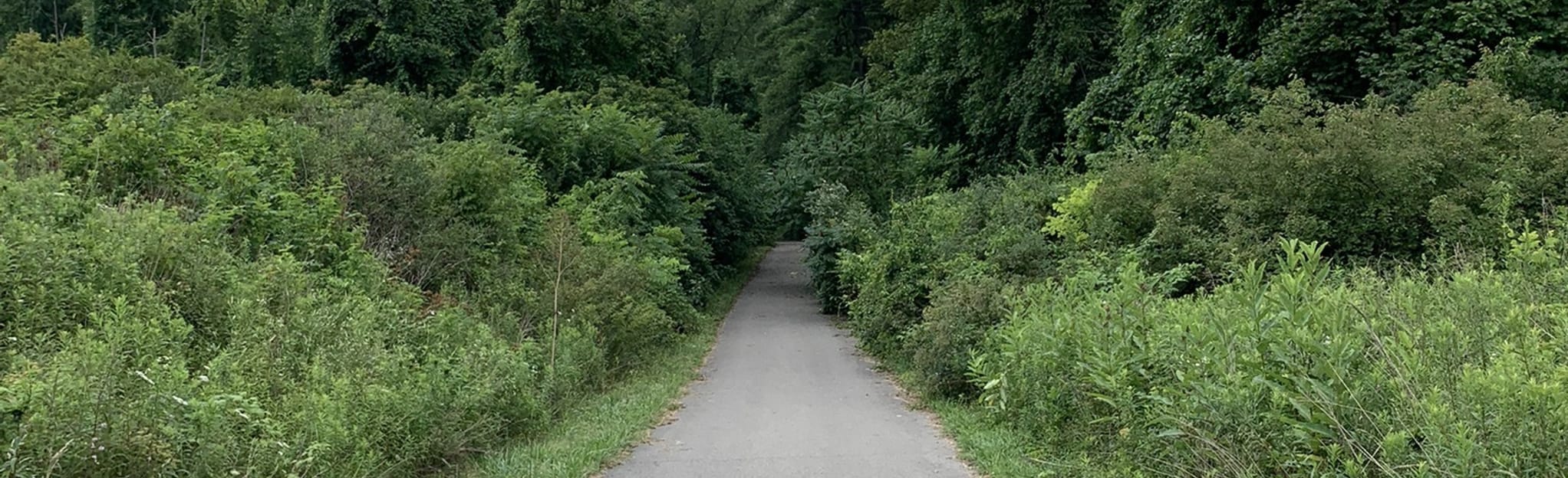 Settler's Ridge Purple Trail Pennsylvania AllTrails