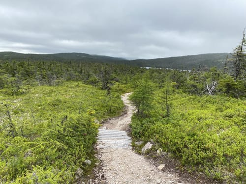 2023 Best Partially Paved Trails in Butter Pot Provincial Park | AllTrails