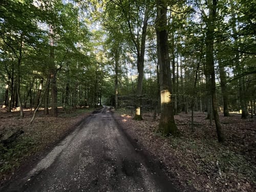 Hardter Wald Rundweg