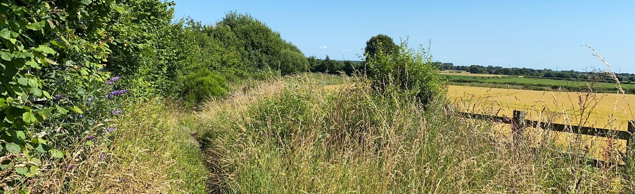 Brayton Barff 12 foto's North Yorkshire, England AllTrails