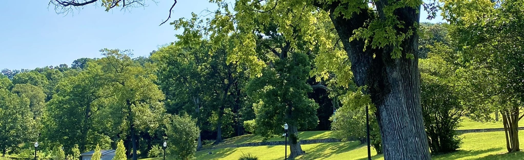 East Lake Park Walk, Tennessee 9 Reviews, Map AllTrails