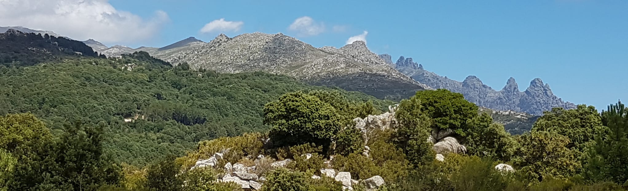 Circuit SerradiScopamène, Punta di a Cuciurpula, Aullène 29 Reviews