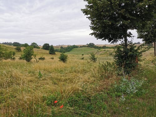 Mescherin - Tantow