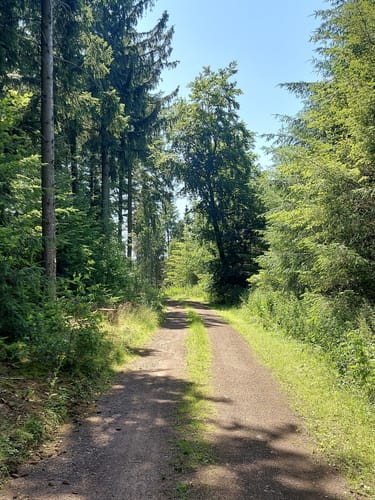 Ulmen: Berenbach - Vulkanweg