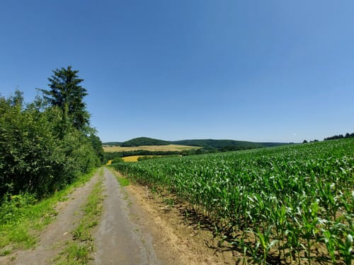 Ulmen: Berenbach - Vulkanweg