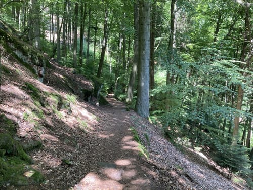 Eidechsenweg