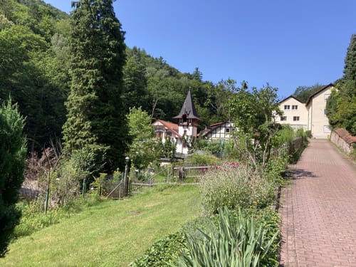 Eidechsenweg