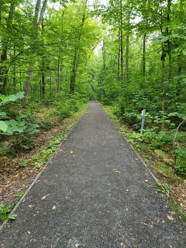 Parc-Nature Du Bois-de-Saraguay: De Beste Routes Om Te Wandelen | AllTrails