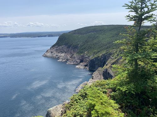 10 Best hikes and trails in East Coast Trails Newfoundland AllTrails