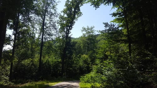 Rund ums Eiterbachtal