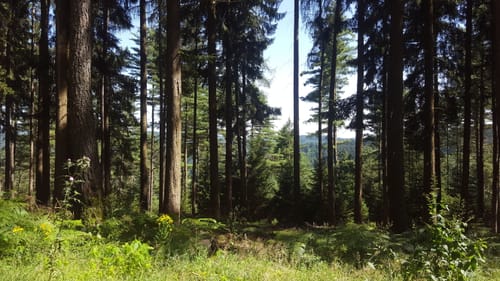 Rund ums Eiterbachtal
