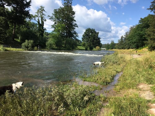 Basel via Mühlemattweg
