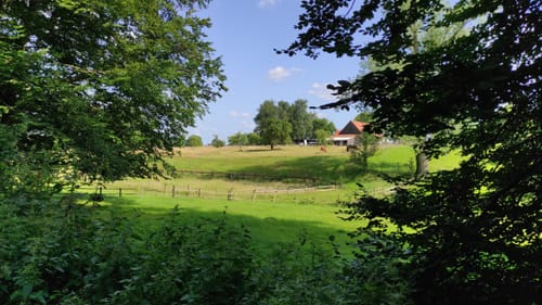 Durch den Aplerbecker und Schwerter Wald