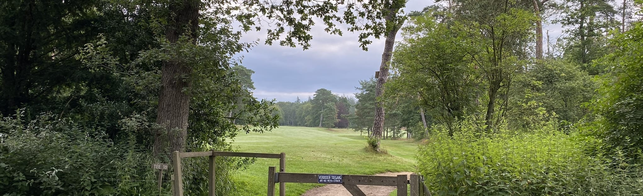 Ridderoorsche Bossen Lage Vuursche Hoge Vuursche 283 foto's Utrecht, Nederland Wandelen