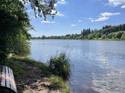 Saar-Hunsrück-Steig Etappe 4: Britten - Losheim am See