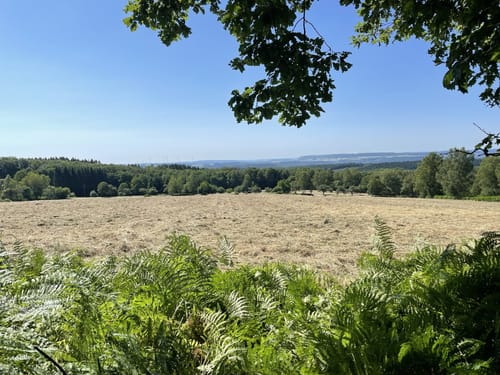 Saar-Hunsrück-Steig Etappe 4: Britten - Losheim am See
