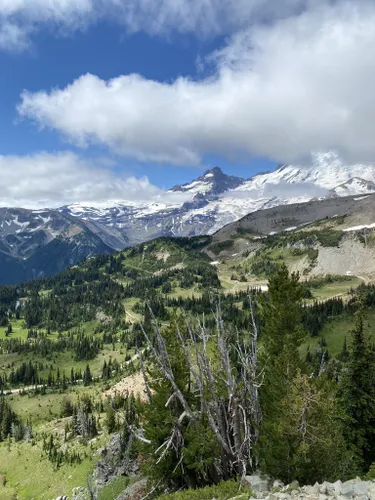 3 Easy Hikes in Mount Rainier National Park — Hiking for Donuts