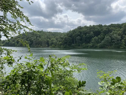 Best Hikes and Trails in Basye | AllTrails