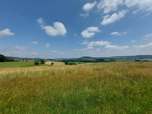 Salm - Meisburg - Weidenbach