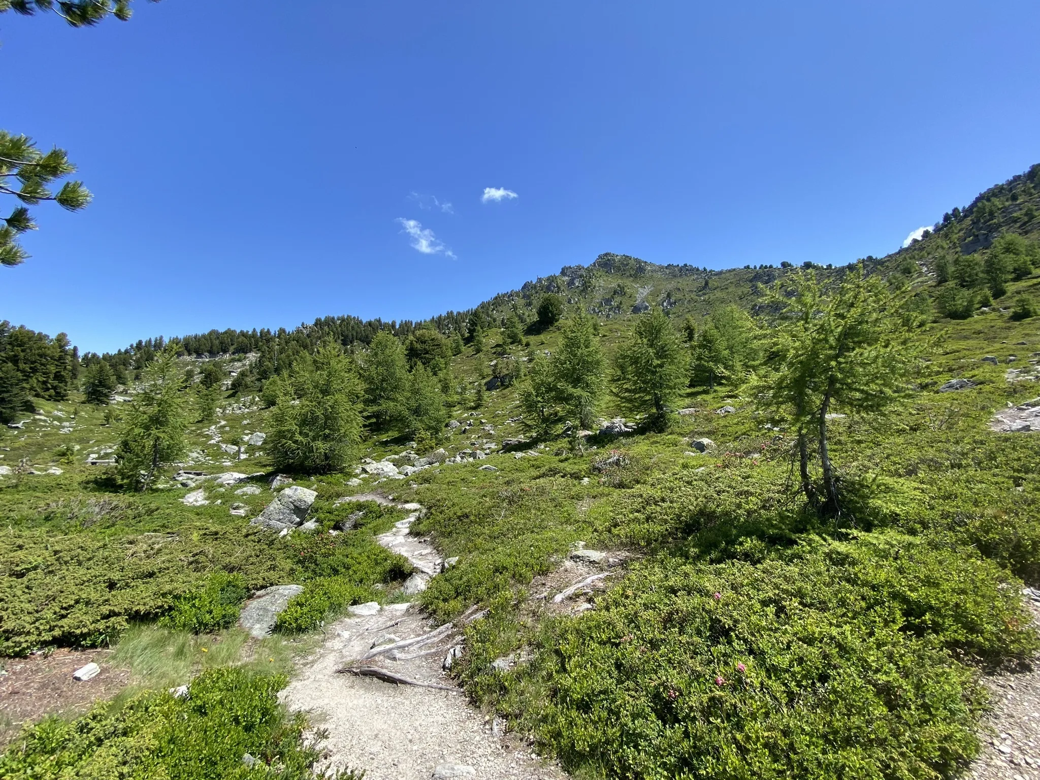 Photo of a trail from Lea  Dinant with title Dent de Nendaz