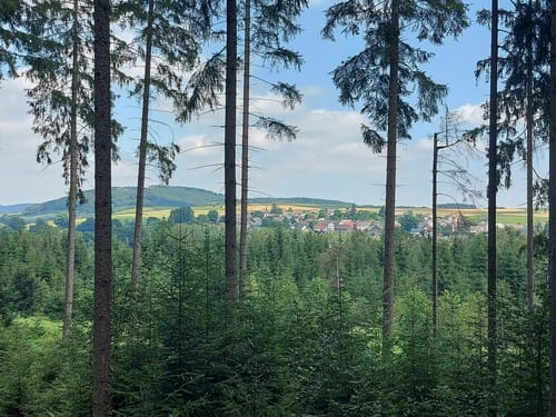 Salm - Meisburg - Weidenbach