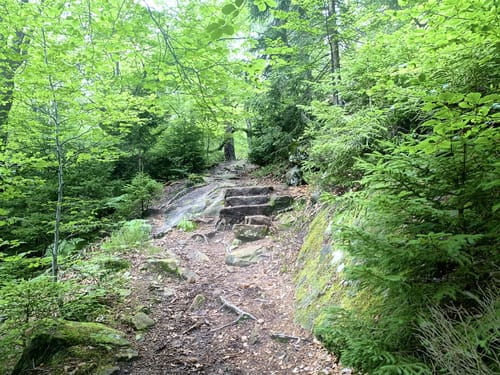 Lemberger Flößertour (Premiumwanderweg)